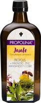 Artesania Jarabe Propolina 500ml