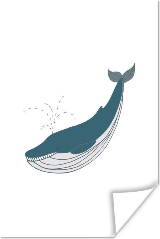 Illustratie van een walvis op een witte achtergrond