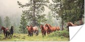 Kleine kudde Quarter paarden 80x40 cm - Foto print op Poster (wanddecoratie woonkamer / slaapkamer)