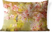Buitenkussens - Tuin - Kolibrie op een tak van een boom met de lente roze bloesems - 50x30 cm