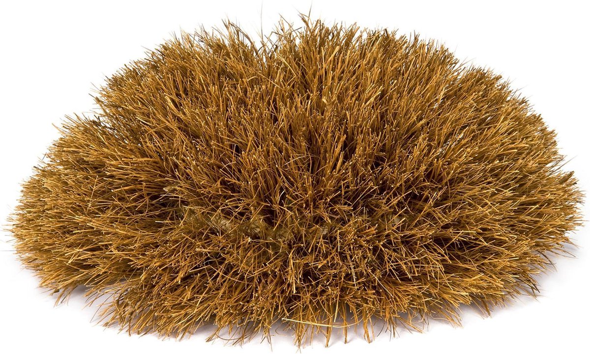 Goedkoopste Spinborstel Coco Fl 966