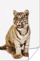 Verbaasd tijger welp op witte achtergrond poster papier 120x180 cm - Foto print op Poster (wanddecoratie woonkamer / slaapkamer) / Wilde dieren Poster XXL / Groot formaat!