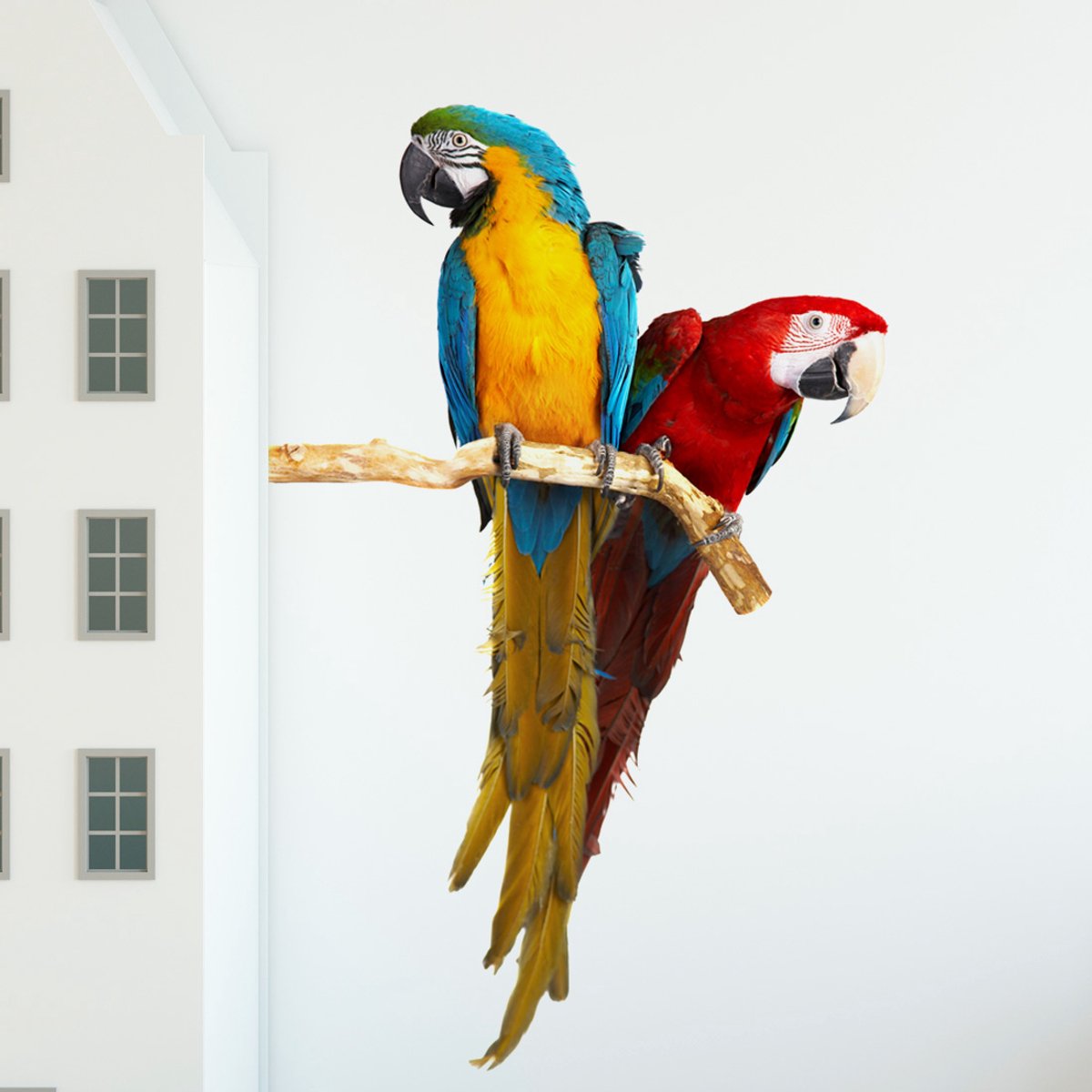 Plakkers Muursticker met twee papegaaien, Ara's Full color