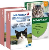 Preventiepakket Ontworming + Vlo/teek Kitten 1-2 kg - Milbemax + Advantage