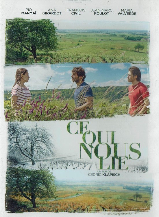 Ce Qui Nous Lie (Import) Cédric Klapisch