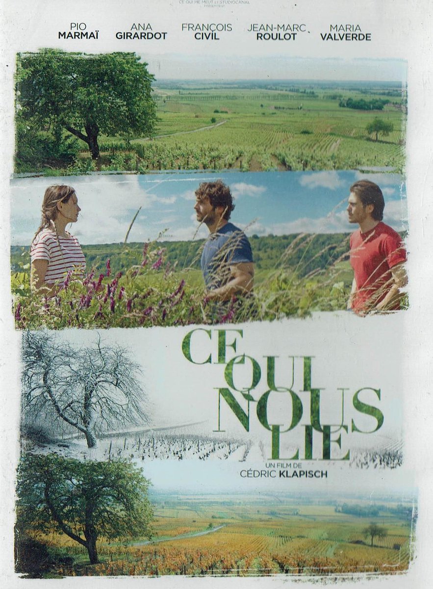 Ce Qui Nous Lie (Import) Cédric Klapisch
