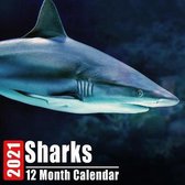 Calendar 2021 Sharks