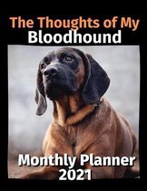 The Thoughts of My Bloodhound