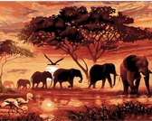 Schilderen Op Nummer Volwassenen - Do It Yourself Paintings - Yeah This Is Africa! - Olifanten - Vogels - Dieren - Bomen - Water - Afrika - Landschap - 40x50 cm - Canvas
