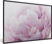 Photo encadrée - Gros plan d'un cadre photo pivoine rose noir 60x40 cm - Affiche encadrée (Décoration murale salon / chambre)