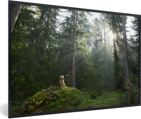 Cadre photo chien dans les bois noir sans passe-partout