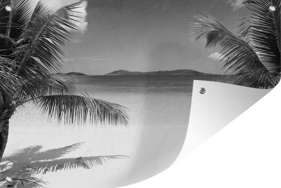 Tuinposter - Tuindoek - Tuinposters buiten - Tropische palmen op het strand - zwart wit - 120x80 cm - Tuin