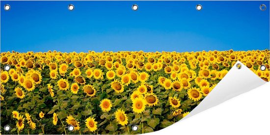 Tuinposter Zonnebloemen (Zonnebloemveld) 100 x 50 cm incl. Metalen ringen - (Buitenposter - Tuindoek - Buitencanvas - Schilderijen voor buiten - tuin decoratie)