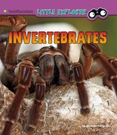 Little Zoologist - Invertebrates