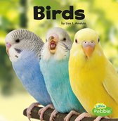 Our Pets - Birds