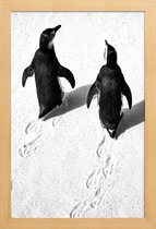 JUNIQE - Poster in houten lijst Wandelende pinguïns -60x90 /Wit &