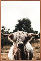 JUNIQE - Poster met kunststof lijst Boris Highland Cow -13x18 /Bruin &