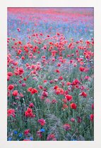 JUNIQE - Poster in houten lijst Poppy Seed Heaven -30x45 /Groen & Rood