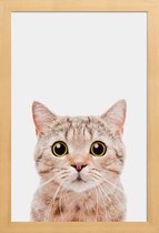 JUNIQE - Poster met houten lijst Kitten -13x18 /Bruin