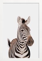 JUNIQE - Poster in houten lijst Zebra -30x45 /Wit & Zwart