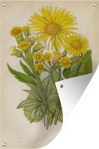 Muurdecoratie Zonnebloem - Vintage - Illustratie - 120x180 cm - Tuinposter - Tuindoek - Buitenposter