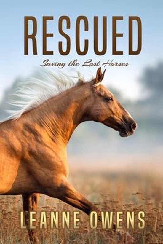 The Dimity Horse Mysteries- Rescued - cover