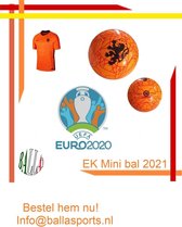 EK Mini voetbal - Uefa 2020 - EK 2021