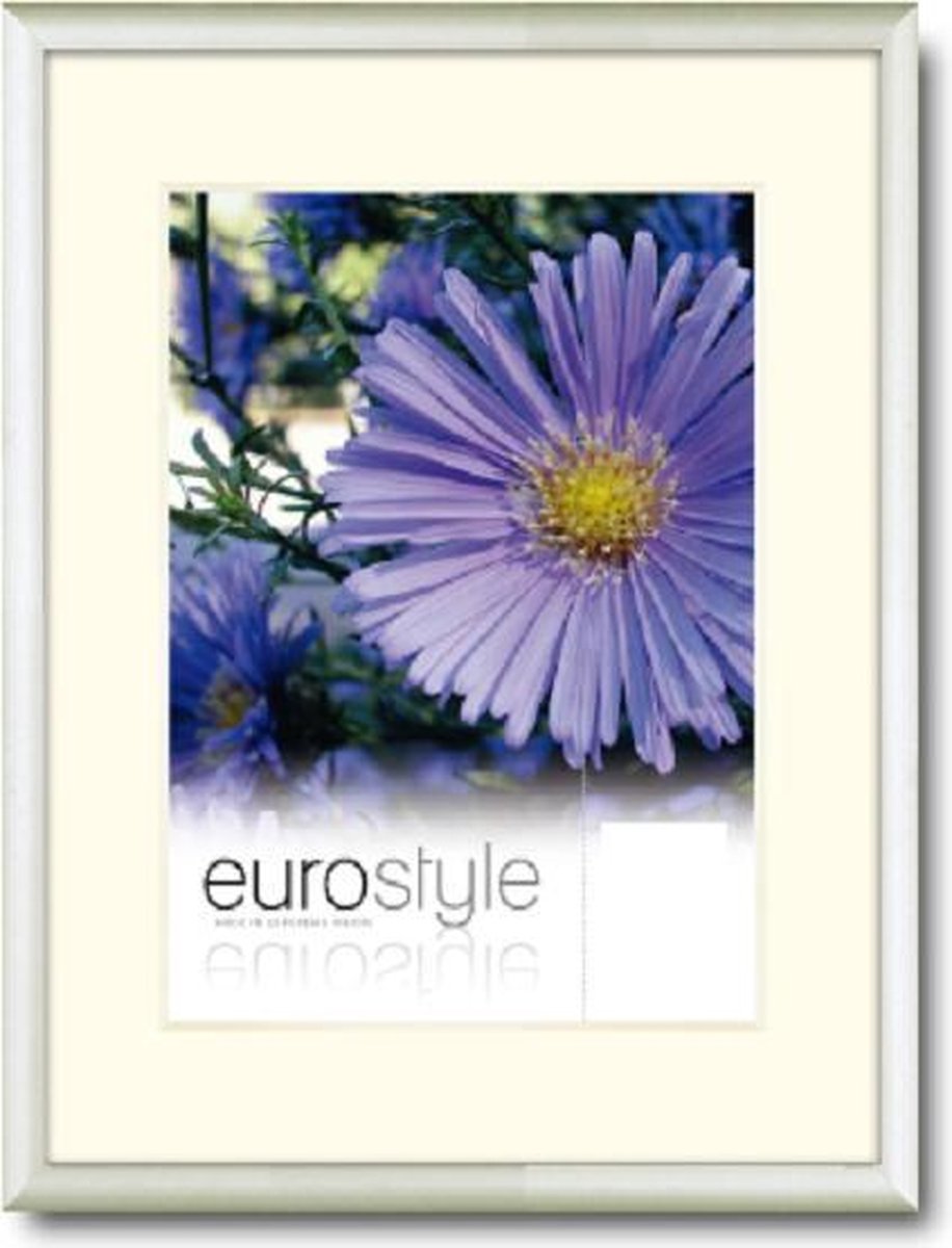 DFS Aluminium Fotolijst Es Zilver 21x29.7 cm