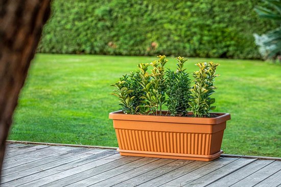 Piano Bloembak 32 Cm Met Ingebouwde Waterschaal – 2 Stuks – UV-bestendig En Winterhard – Voor Vensterbank, Balkon En Terras – In 6 Kleuren