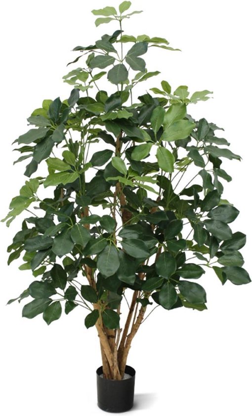 Schefflera Exotica kunstplant 120cm - FR - brandvertragend