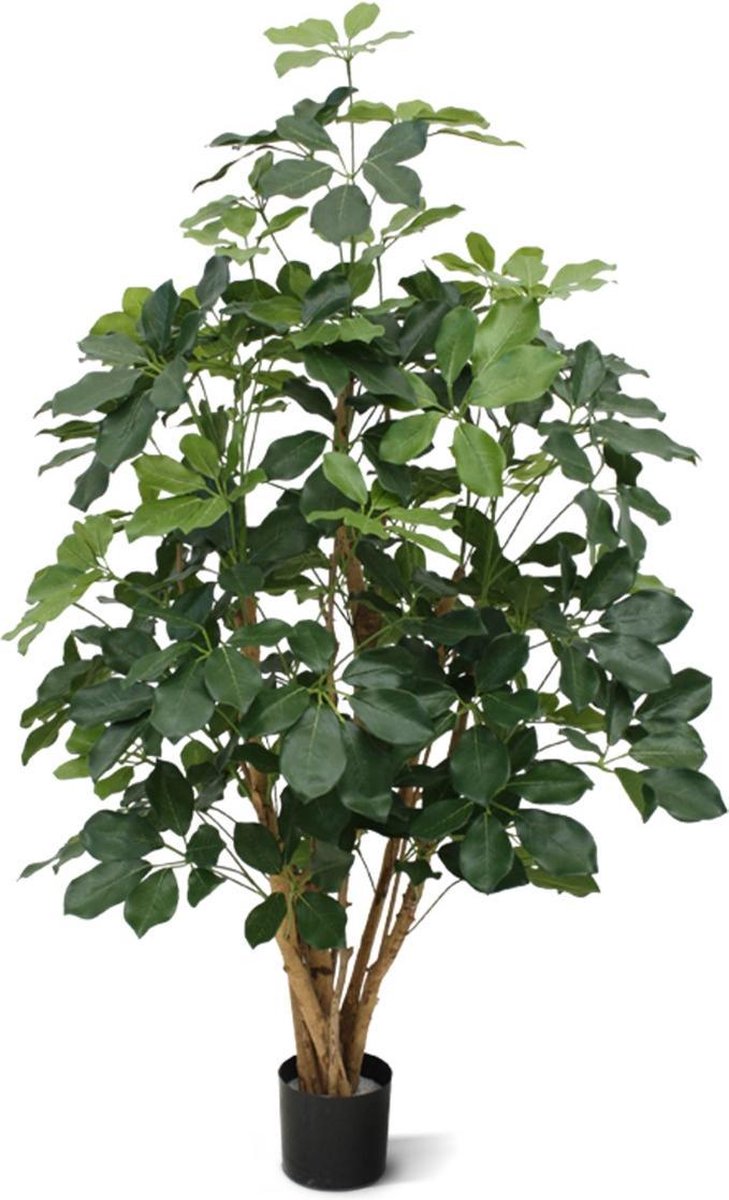 maxifleur Kunstplanten Schefflera Exotica kunstplant 120cm - FR - brandvertragend Groen