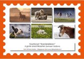 Kaarten set Boerderijdieren | kittens | paarden | koeien | lammetjes | ansichtkaarten