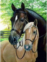 Peinture au Diamond - Deux beaux chevaux - Produit aux Nederland - 20 x 30 cm - toile - pierres carrées + stylo de luxe gratuit d'une valeur de 12,99