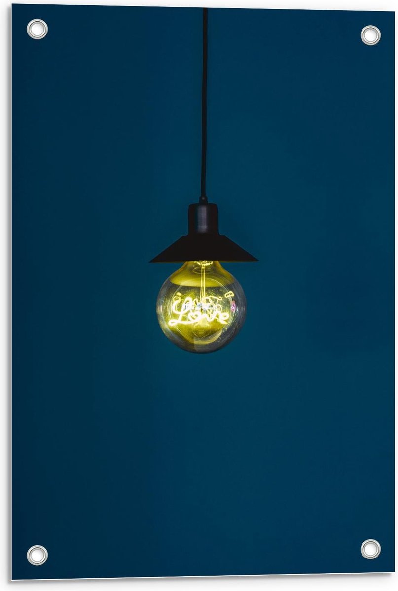 Tuinposter – Gloeilamp met Blauwe Achtergrond - 40x60cm Foto op Tuinposter (wanddecoratie