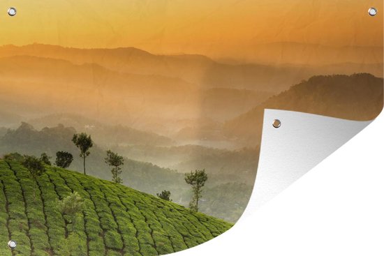 Coucher de soleil sur les plantations de thé 180x120 cm XXL / Groot format!
