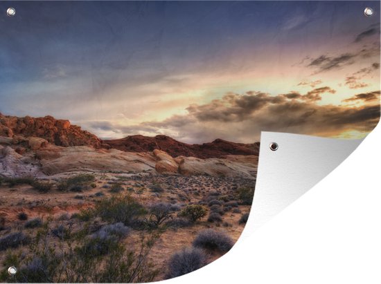 Tuinschilderij Zonsondergang in de woestijn - 80x60 cm - Tuinposter - Tuindoek - Buitenposter