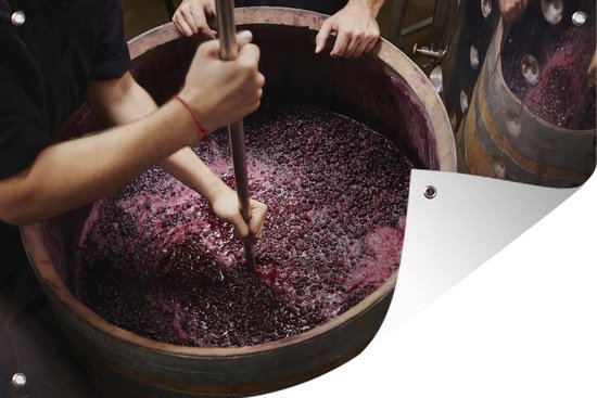 Houten vat met druiven wordt tot wijn gestampt - Tuindoek