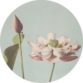 ESTAhome zelfklevende behangcirkel lotusbloem zacht roze en vergrijsd blauw - 159018 - 140 x 140 cm