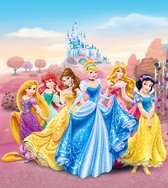 Disney fotobehang prinsessen roze, blauw en geel - 600614 - 180 x 202 cm