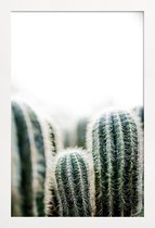 JUNIQE - Poster met houten lijst Cactus 1 -13x18 /Groen & Wit