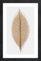 JUNIQE - Poster in houten lijst Skeleton of a Leaf II -20x30 /Bruin &