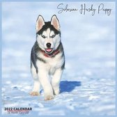 Siberian Husky Puppy Calendar 2022