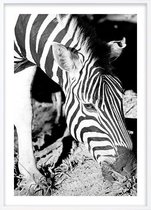 Poster Met Witte Lijst - Mlilwane Zebra Poster