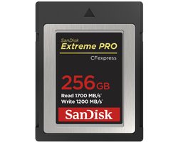 SANDISK Extreme Pro - Geheugenkaart - 256GB - CF Express Type B