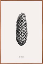 JUNIQE - Poster met kunststof lijst Pine Cone III -13x18 /Grijs &