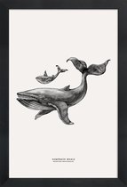 JUNIQE - Poster in houten lijst Humpback Whale -20x30 /Grijs & Ivoor