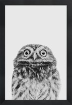 JUNIQE - Poster in houten lijst Owl Classic -40x60 /Wit & Zwart