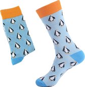 Sorprese Pinguin – sokken – blauw-oranje - sokken heren – heren sokken – sokken heren 43 46 - Cadeau