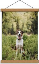 Schoolplaat – Blije Hond in de Bossen - 30x40cm Foto op Textielposter (Wanddecoratie op Schoolplaat)