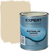 Expert Exterior laquer High Gloss - Topcoat - Paint - Made by Sikkens - Ral 1015 - 0,75 L - 2 pièces